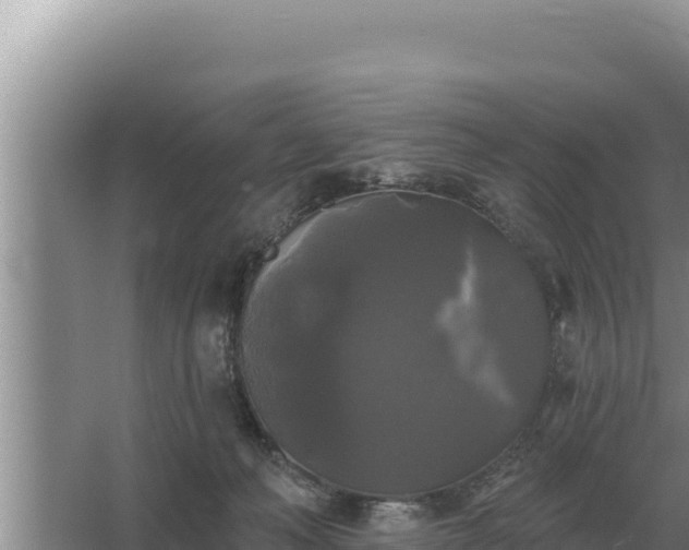 X0000067390222200604071802