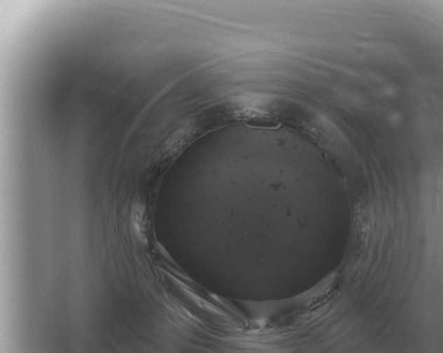 X0000067390223200604071802