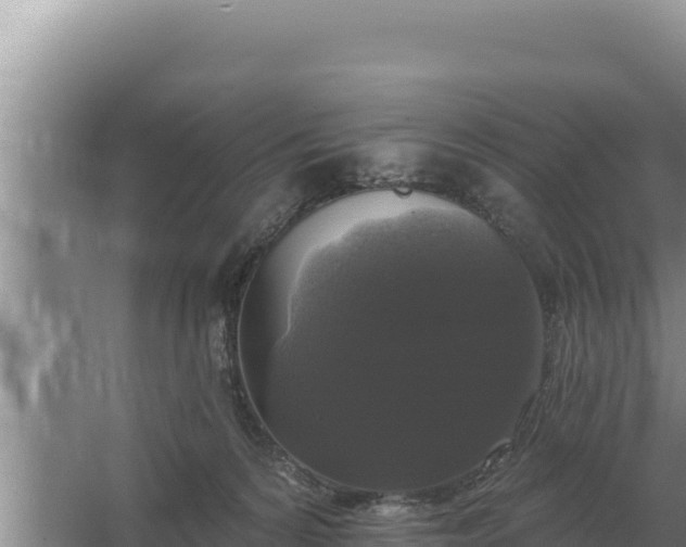 X0000067390224200604071802