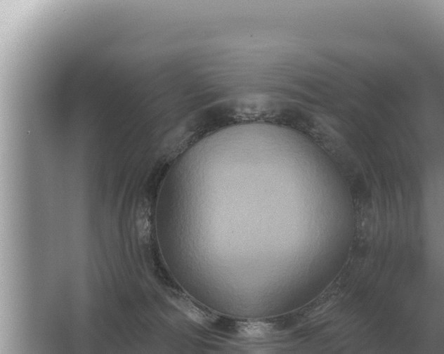 X0000067390226200604071802