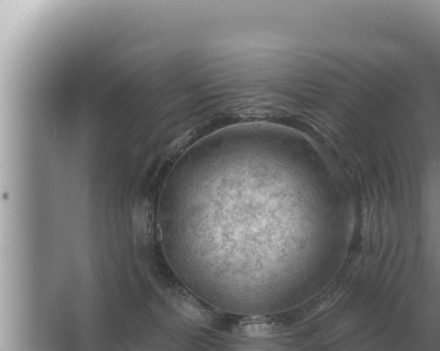 X0000067390228200604071802