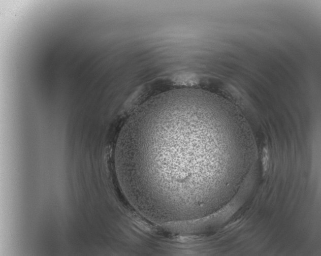 X0000067390229200604071802