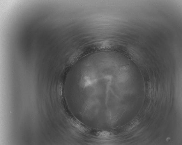 X0000067390230200604071802