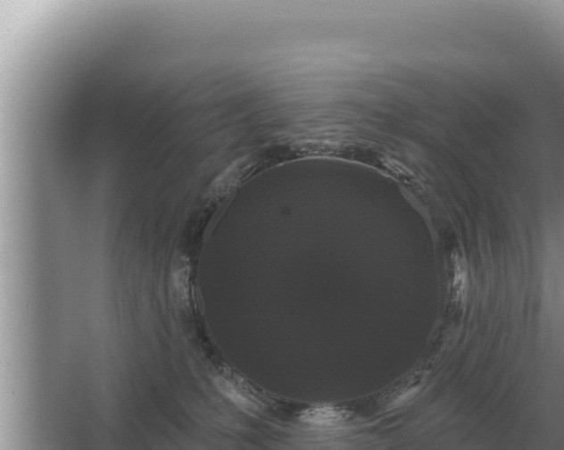 X0000067390231200604071802