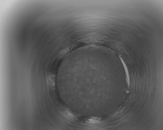 X0000067390232200604071802