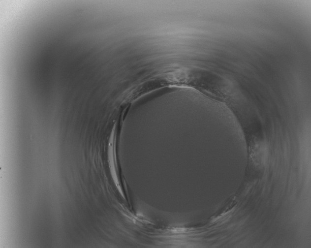 X0000067390233200604071802