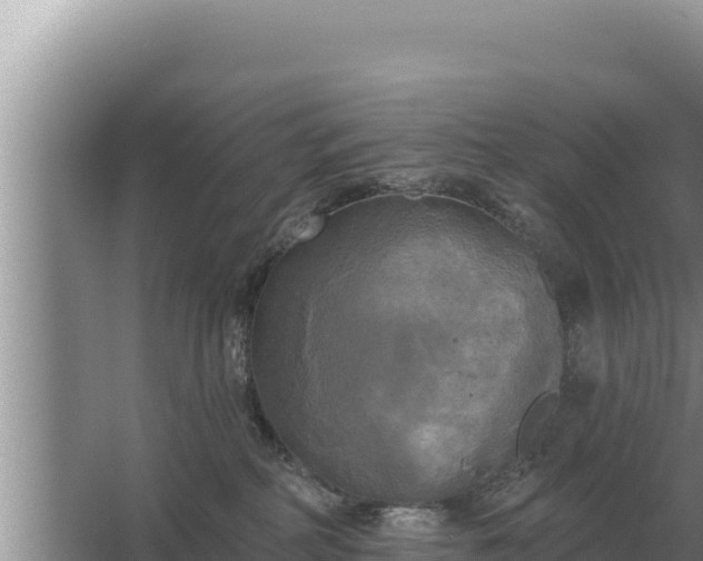 X0000067390234200604071802