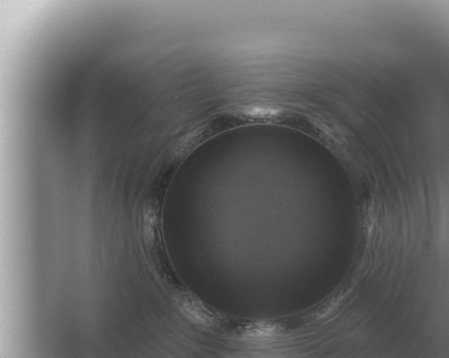 X0000067390235200604071802