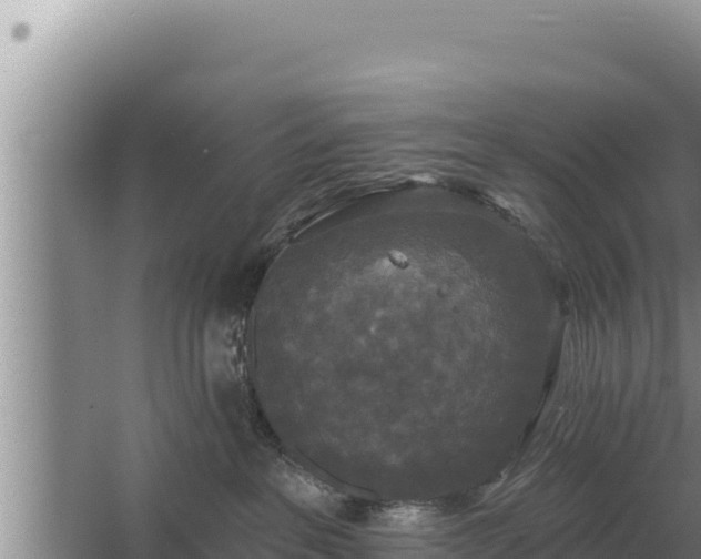 X0000067390237200604071801