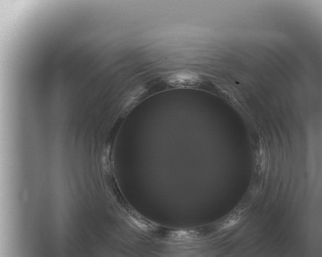 X0000067390239200604071801