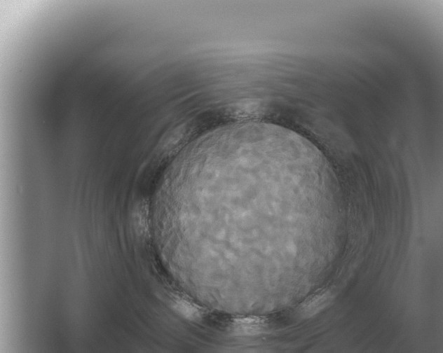 X0000067390240200604071801