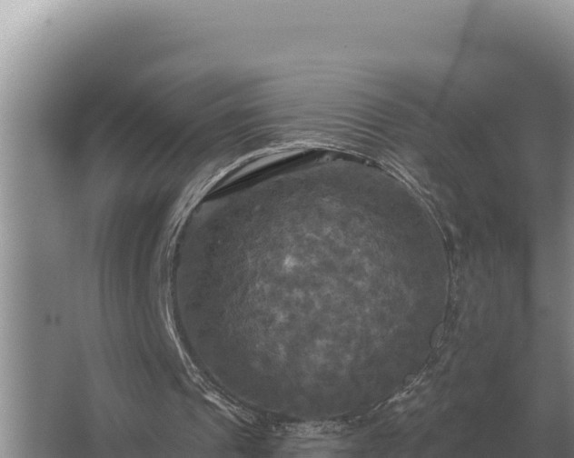 X0000067390241200604071801