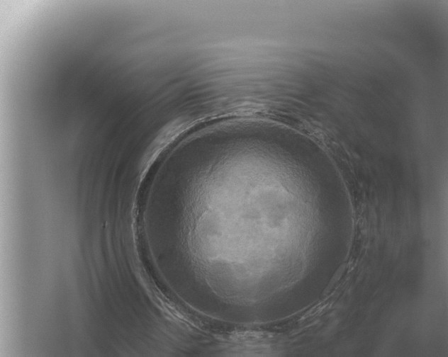 X0000067390242200604071801