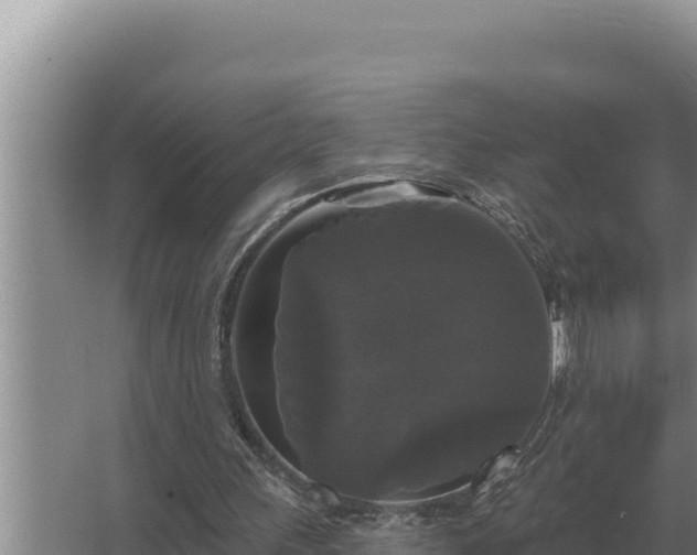 X0000067390243200604071801