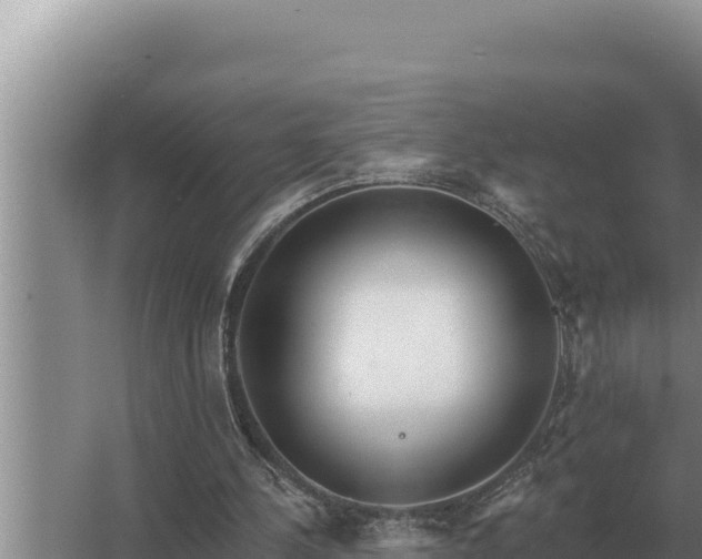 X0000067390244200604071801