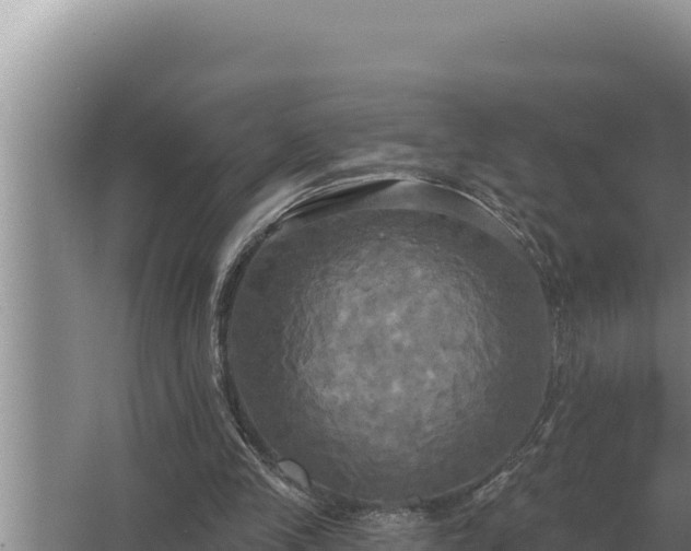 X0000067390245200604071801