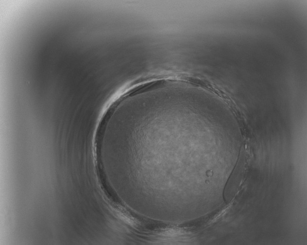 X0000067390246200604071801