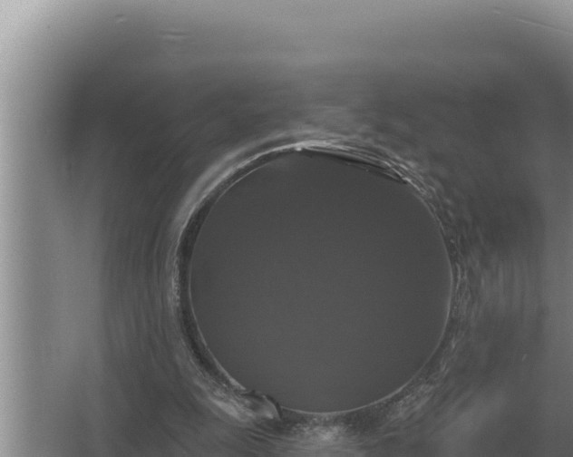 X0000067390247200604071801