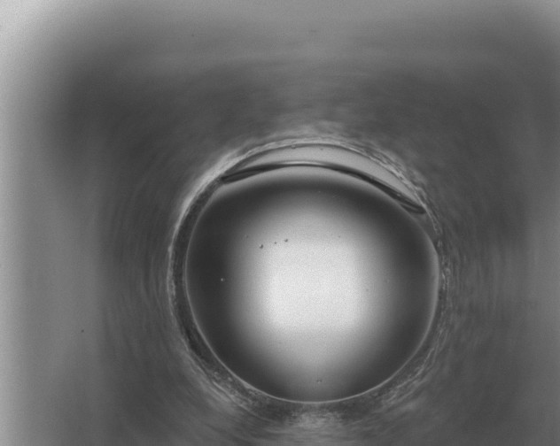 X0000067390248200604071801