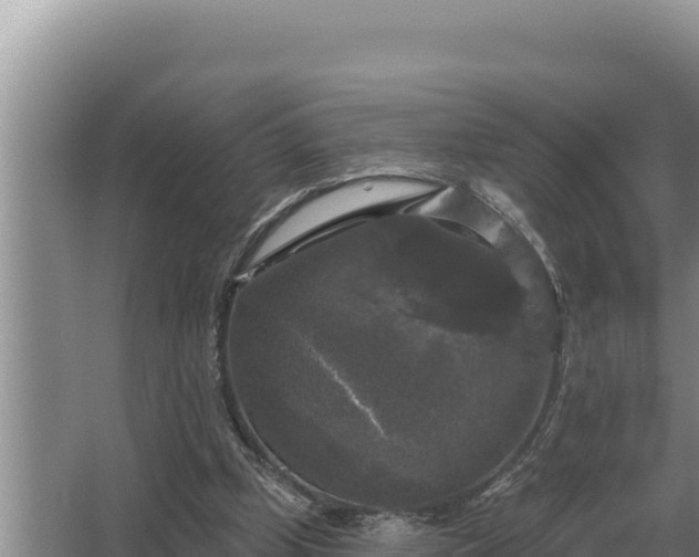 X0000067390249200604071801