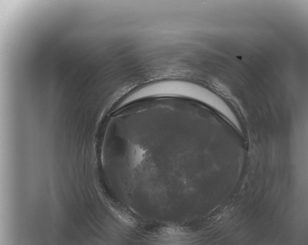 X0000067390250200604071801