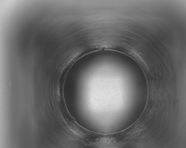 X0000067390251200604071801