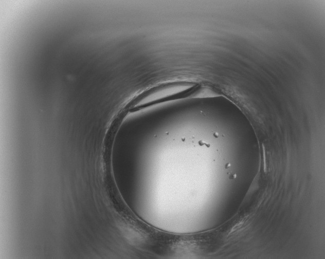 X0000067390252200604071801