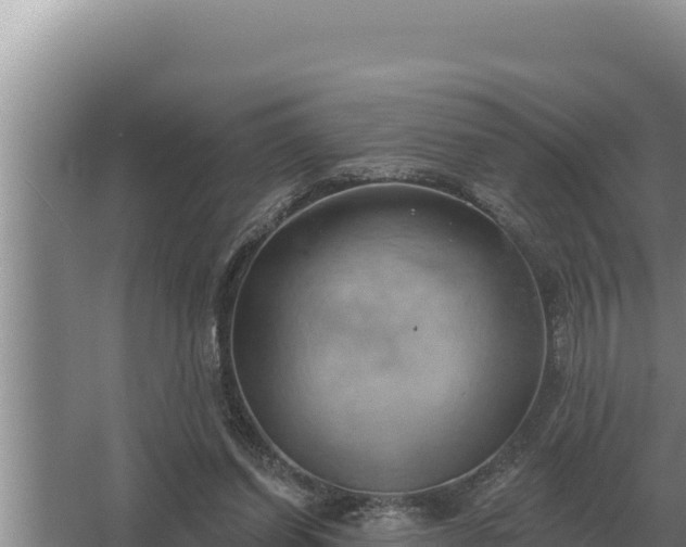 X0000067390254200604071801