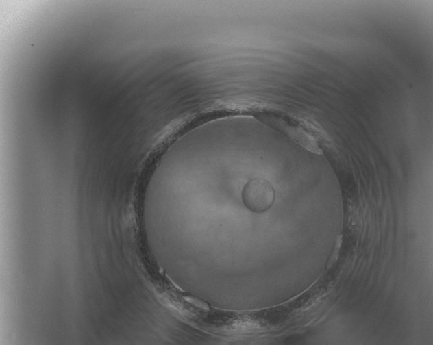 X0000067390256200604071801