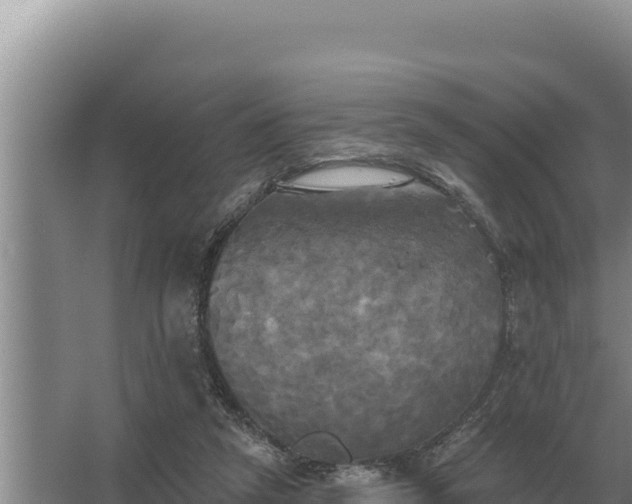 X0000067390257200604071801