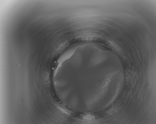 X0000067390258200604071801