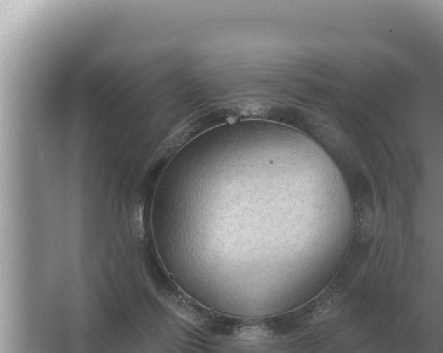 X0000067390262200604071801