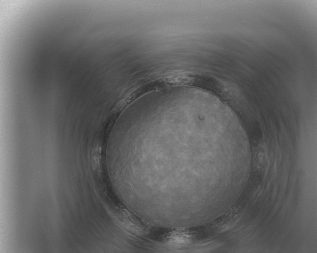 X0000067390263200604071801