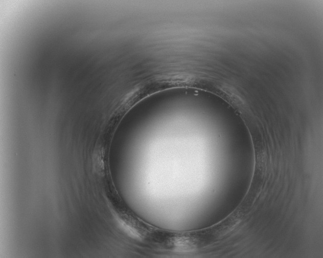 X0000067390264200604071801