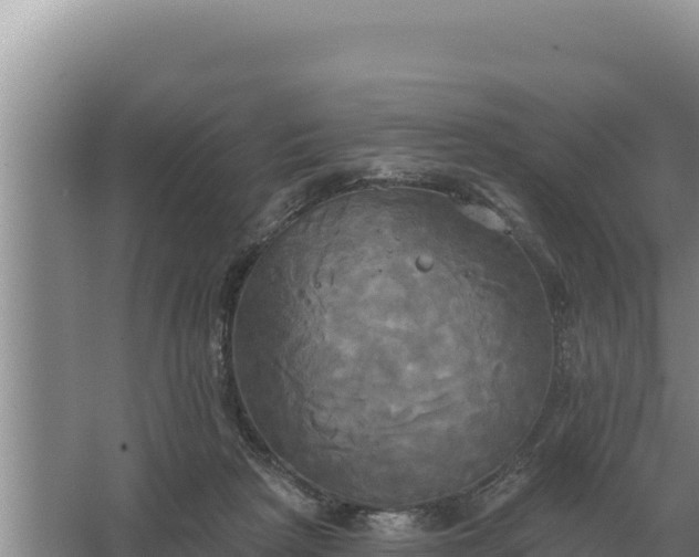 X0000067390265200604071801