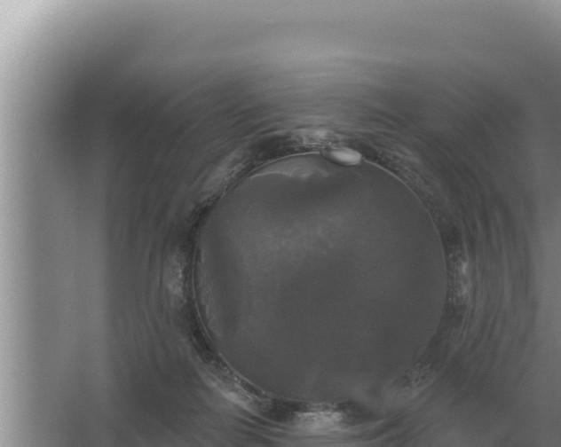 X0000067390266200604071801