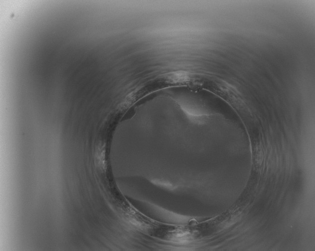 X0000067390267200604071801