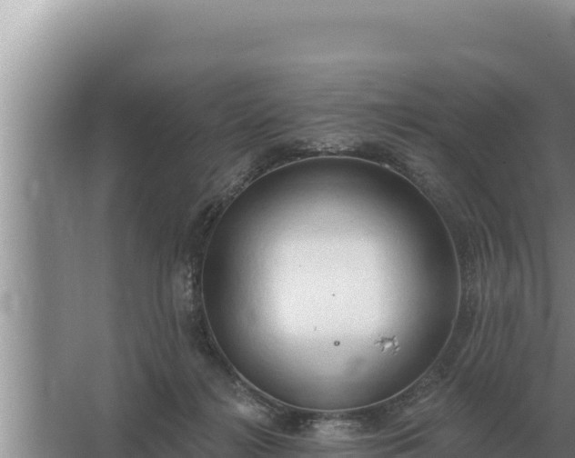 X0000067390268200604071801