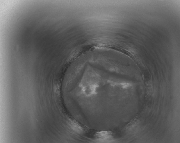 X0000067390269200604071801