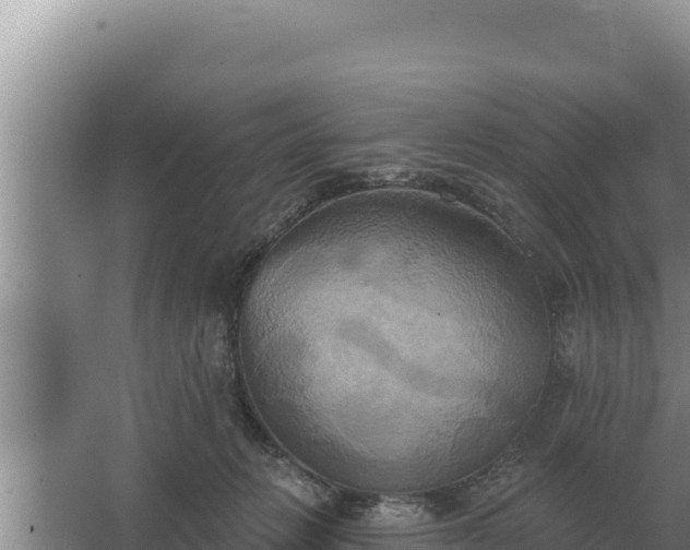 X0000067390270200604071801