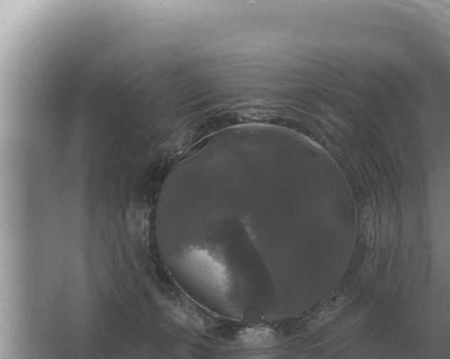 X0000067390271200604071801