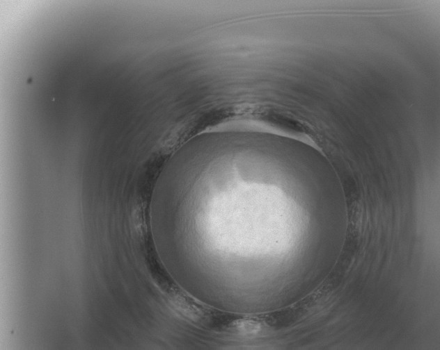 X0000067390272200604071801