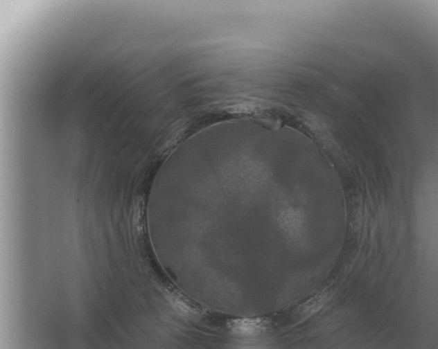 X0000067390273200604071801