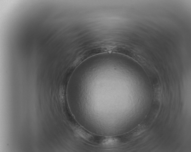 X0000067390274200604071801