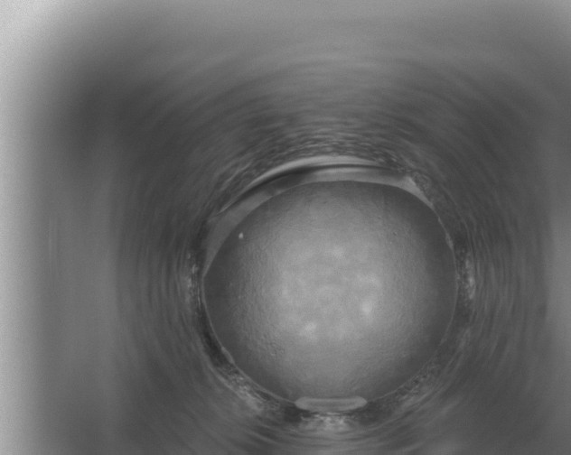 X0000067390276200604071801