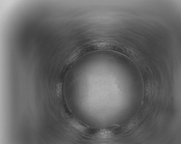 X0000067390278200604071801