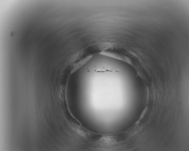 X0000067390280200604071801