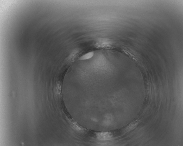 X0000067390281200604071801