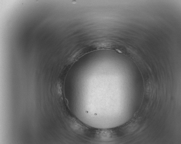 X0000067390282200604071801