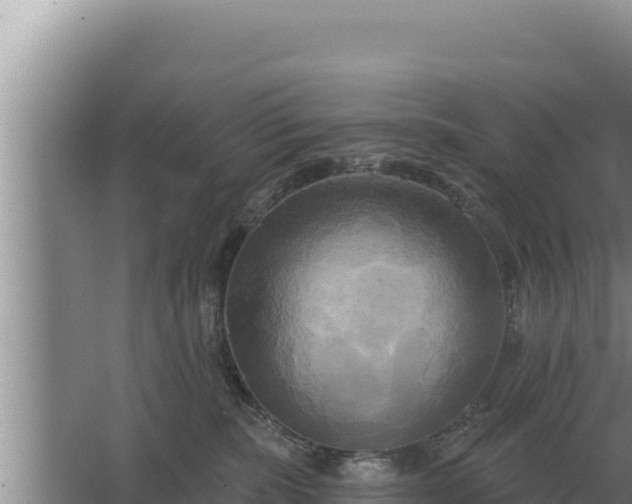 X0000067390283200604071801